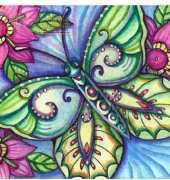HAED HAENTQS 3001 QS Blue Butterfly by Ching-Chou Kuik