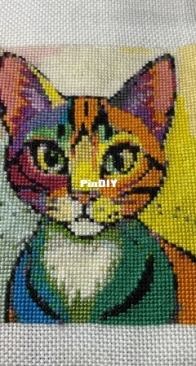 Cute kitty