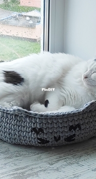 Pet bed