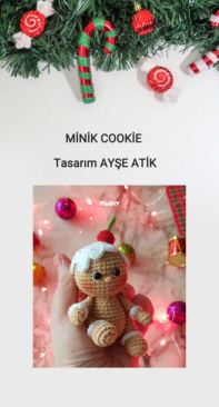 Ayse Atik - Ayşe Çelik Atik - Mini Cookie - Minik Cookie - Turkish