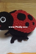 Ladybug