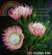 Golden Kite 829 - King Protea