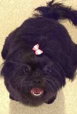 My sweetheart Maggie xxx