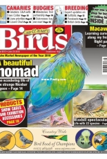 Cage & Aviary Birds - 18 June 2018