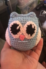 Owl Amigurmi