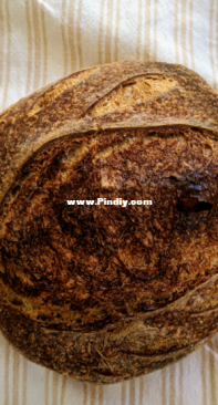 Sourdough Bread