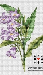 Design Studio - Broadleaf Bell by Lena Averina / Pavlova