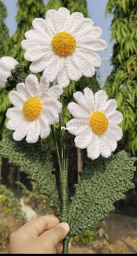 Seasoncraft.id - Crochet by Zia - Daisy