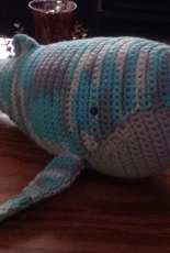 Humpback Whale