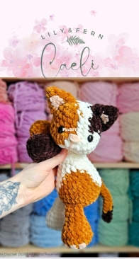 Lily and Fern - Caeli