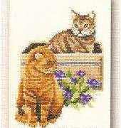 Lanarte - Franciens Kitten 90156 Tomcat Joris, Suzy in a Box