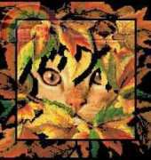 Cross My Heart CSB-262 Fall Cat XSD