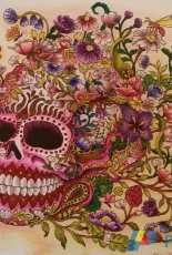 Coloring