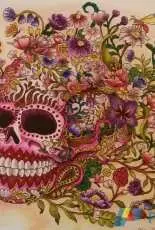 Coloring