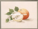 OOE 099132 Apples - xsd