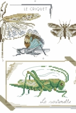 Oiseaux,papillons & petites betes au point de croix - Veronique Enginger xsd
