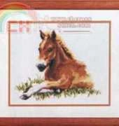 Vervaco 70.741 Foal