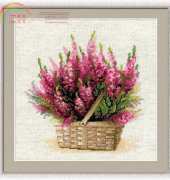 Riolis 1324 Scottish Heather XSD