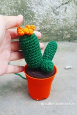 Amigurumi Cactus mini 1