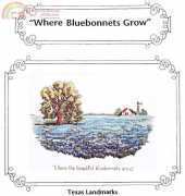 Art Ventures - Where Bluebonnets Grow Texas Landmarks