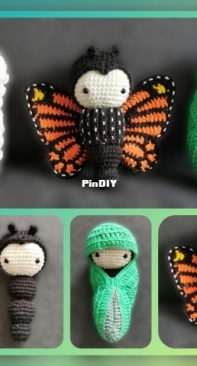 Monarch butterfly cycle