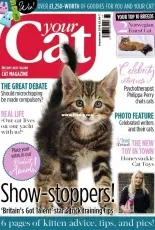 Your Cat - September 2018