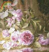 Golden Kite 1130 Blairie Roses xsd