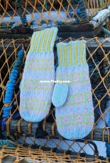 Aimee’s Mittens by Emily Poleson