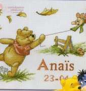 DMC BL462/70 Winnie First Name Canvas
