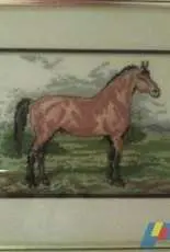 horse