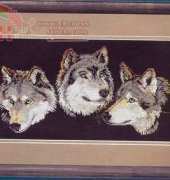 Dimensions Sunset 13576 - Wolf Trio