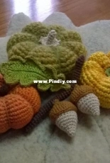 Pumpkins & acorns