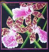 RTO M265 - Zigopetalum Orquídeas