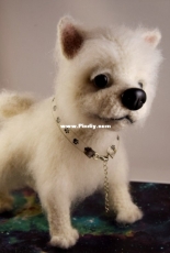 Olga kinko (aurinka ) spitz dog pattern