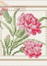 Ellen Maurer Stroh EMS - Flower of the Month - January - Carnation PCS