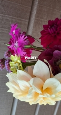 A bunch of flowers from the garden