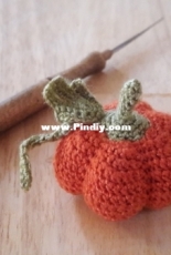 Little pumpkin