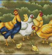 Gallinas