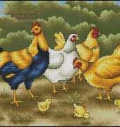 Gallinas