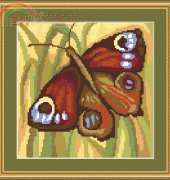 Megat 4047 - Butterfly brown Cat