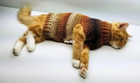 Bag-O-Day Crochet and More - Crystal Doedtman - Crochet Stevens Striped Sweater Pattern for Large Cat