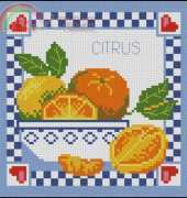 Riolis 543 Citrus