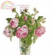 Fujico - English Roses XSD