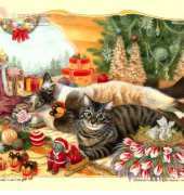 HAED HAEMAC 124 Cant Let Go by Mariecat