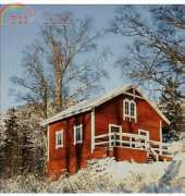 Golden Kite GK 147 - Red House in Snow