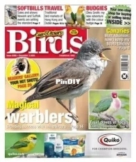 Cage and Aviary Birds - Issue 6396 -  03 December -  2025