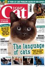 Your Cat August_2017