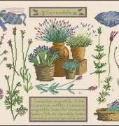 DMC XC1050 - Lavender Sampler