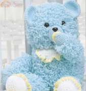 Baby Pacifier Bear by Burnadette Burke