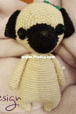Little pug
